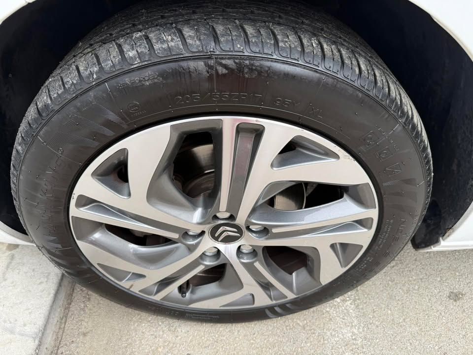 Слика на возило